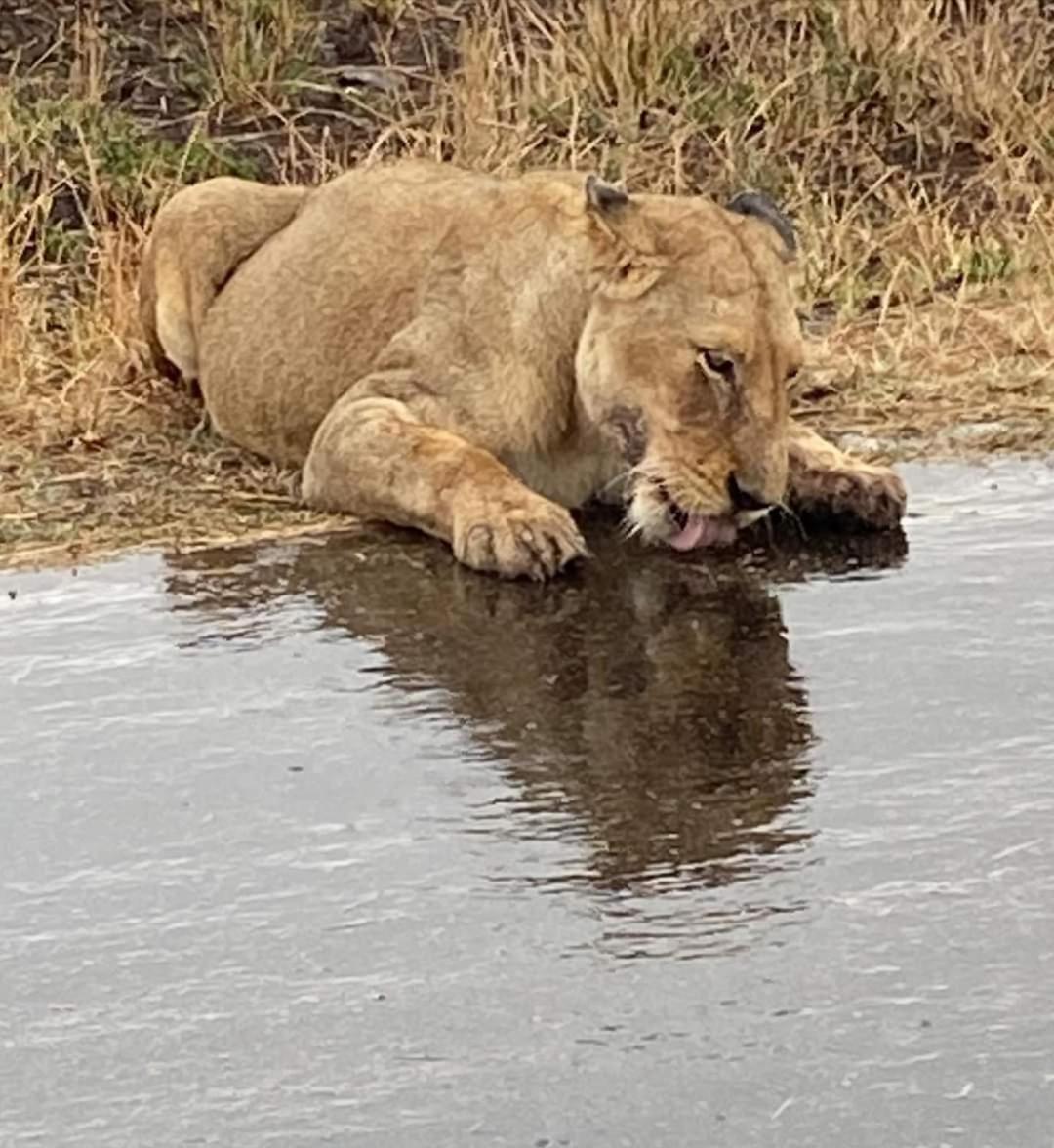 Overnight Stop Before Kruger National Park Phalaborwa Exterior foto